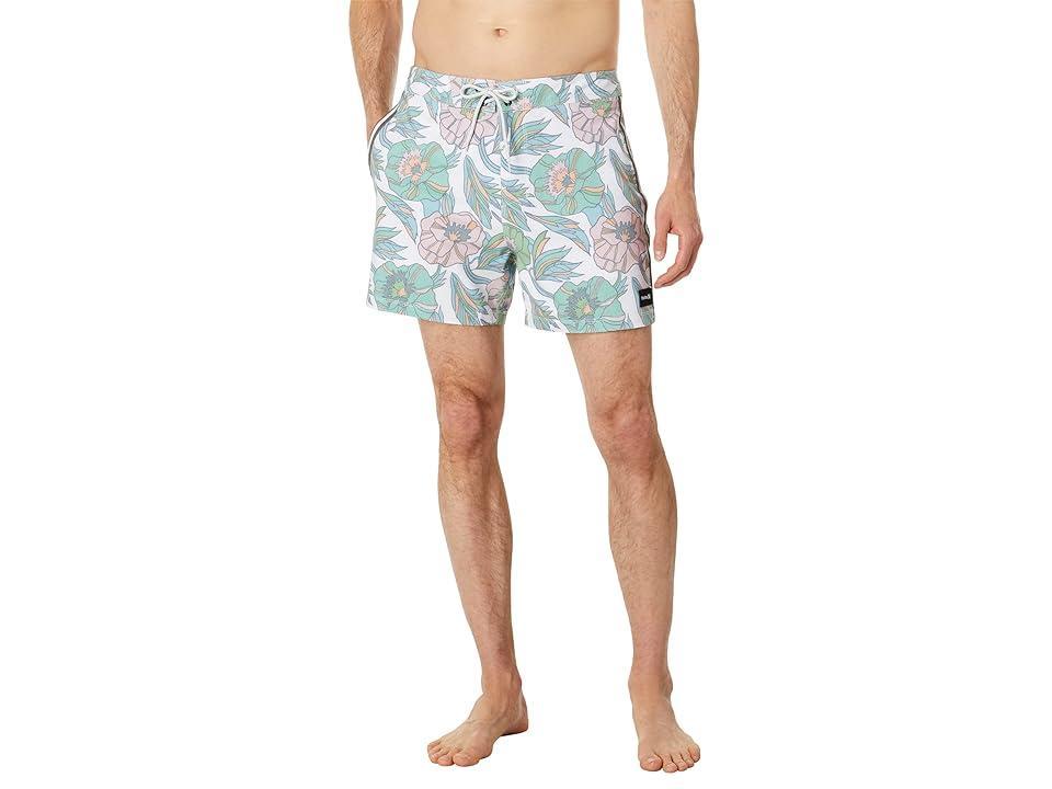 Hurley Phantom Naturals Sessions 16 Boardshorts Men's Swimwear Product Image