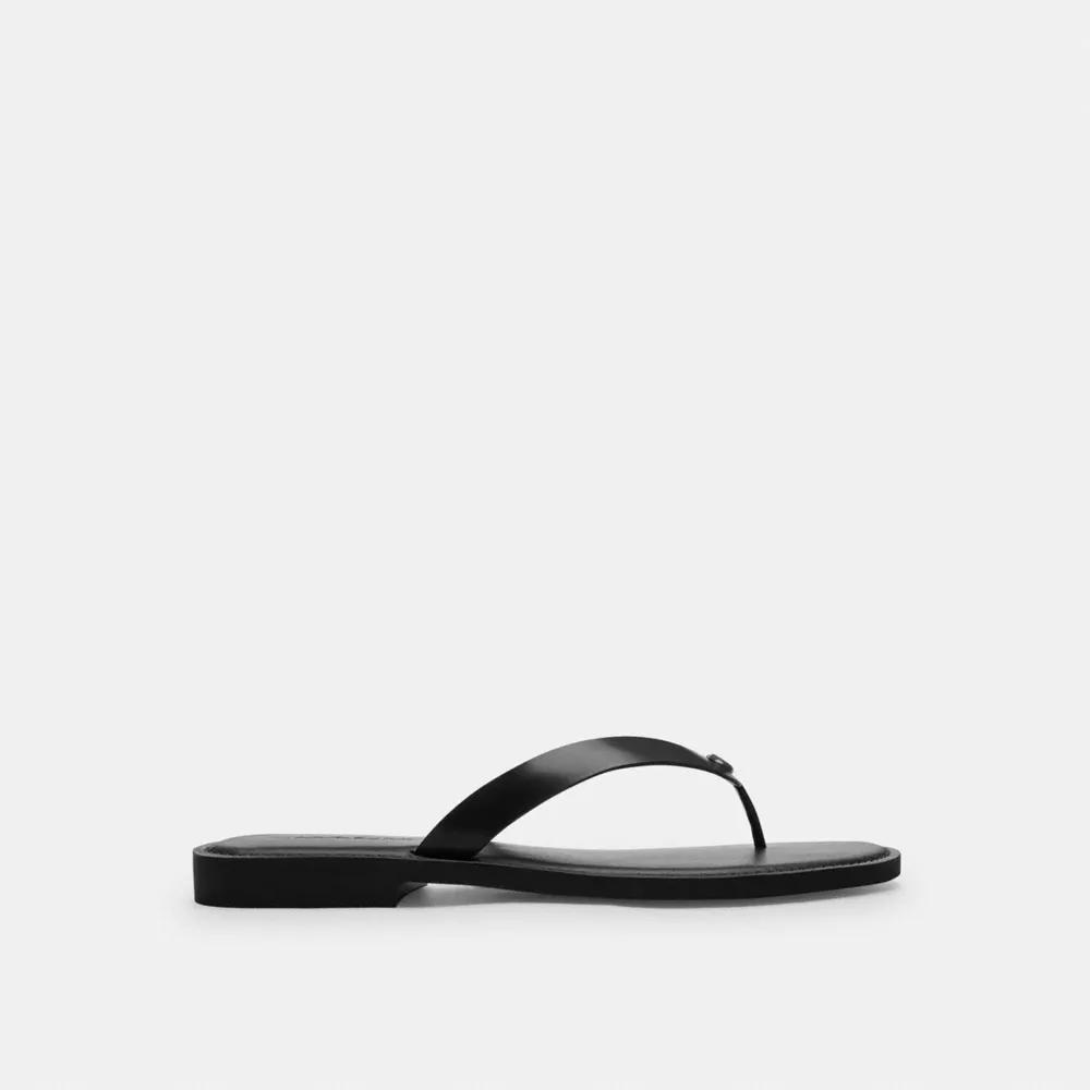 Brianna Flip Flop Product Image