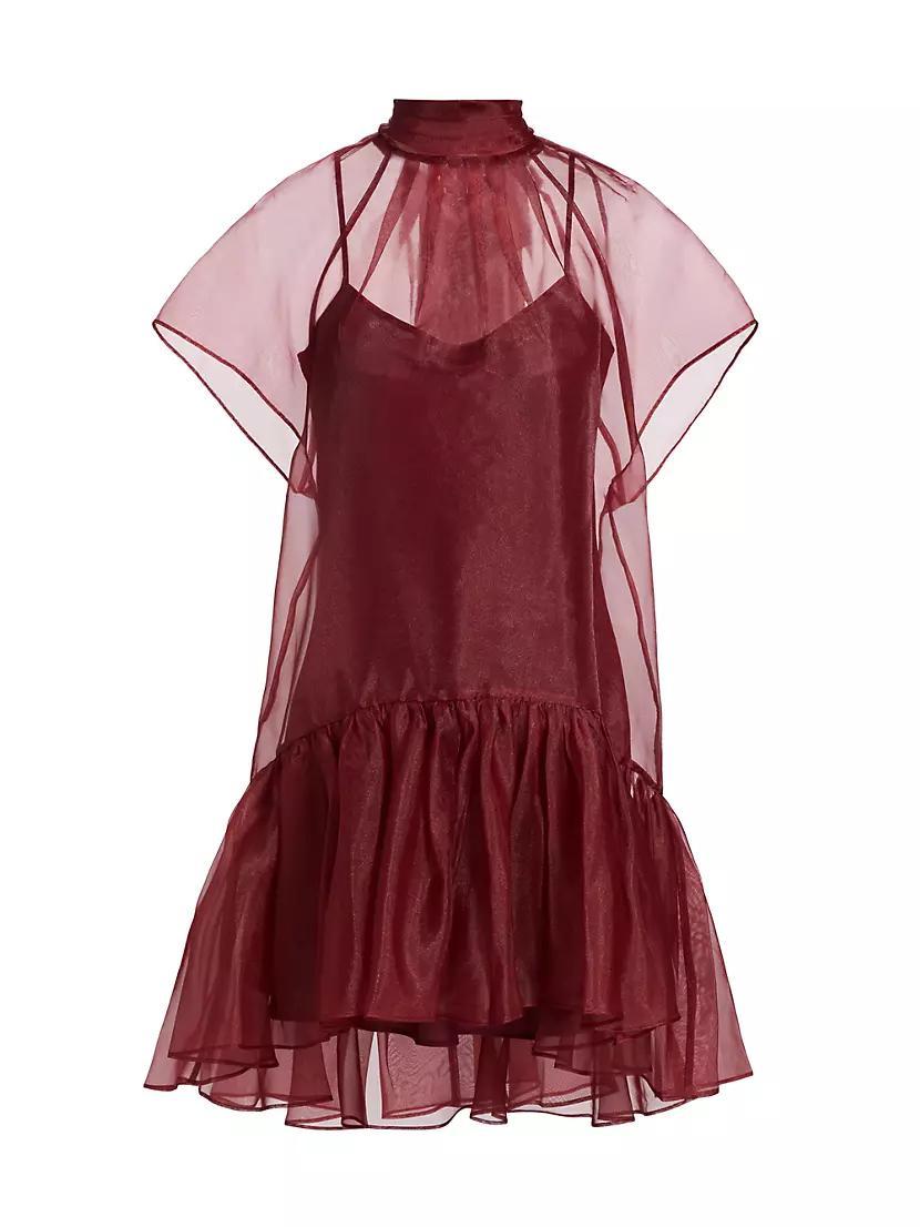 Beaux Tiered Minidress Product Image