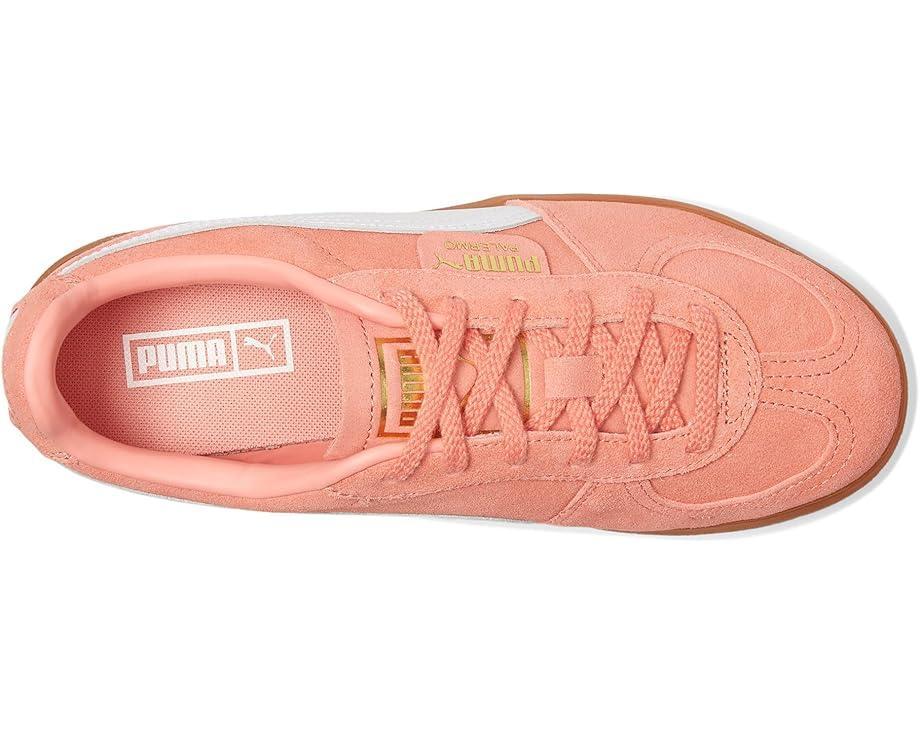 Mayze Sneakers Product Image