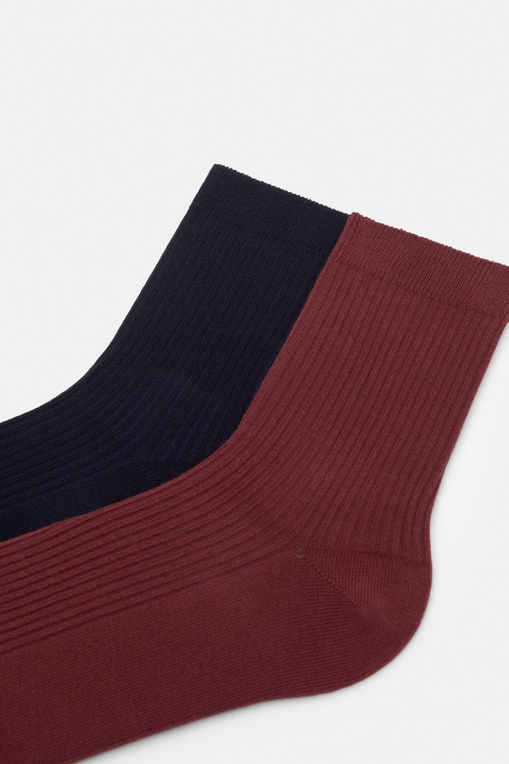 Pack of long ribbed socks Product Image