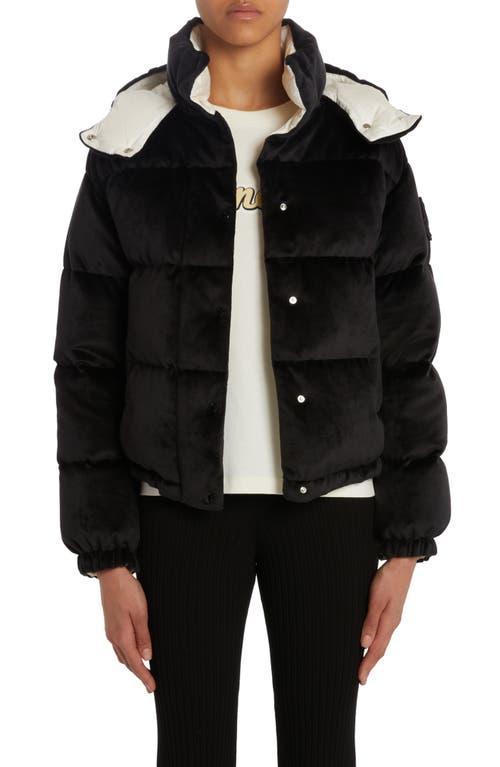 Moncler Daos Velvet Down Puffer Jacket Product Image