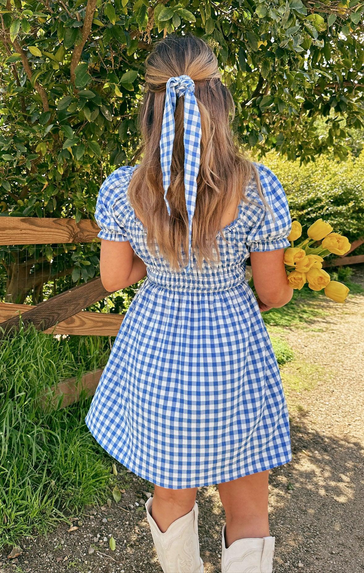 Esme Mini Dress ~ Blue Bounty Gingham Product Image