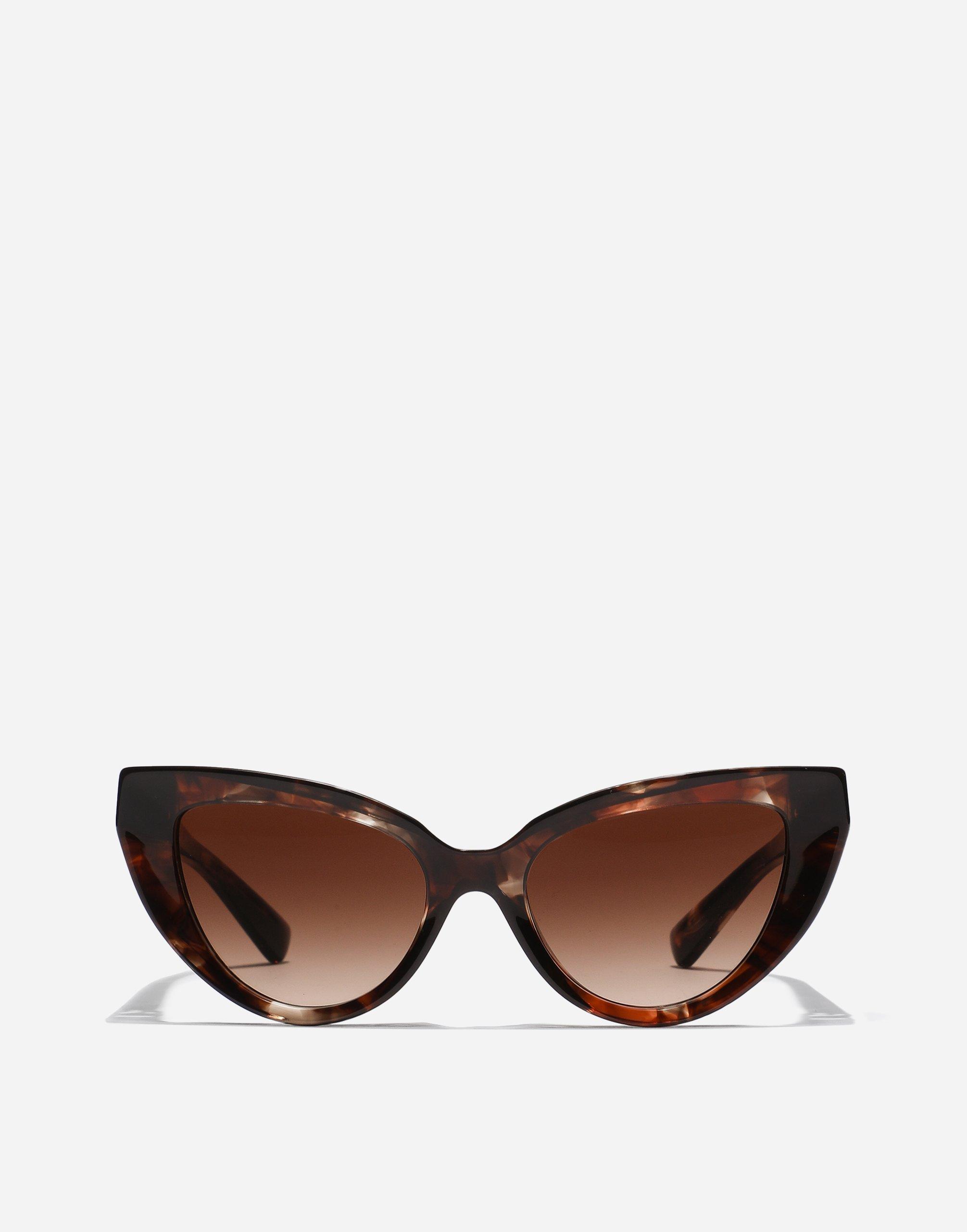 DOLCE & GABBANA Dg Hinge Sunglasses In Dark Red Havana Product Image