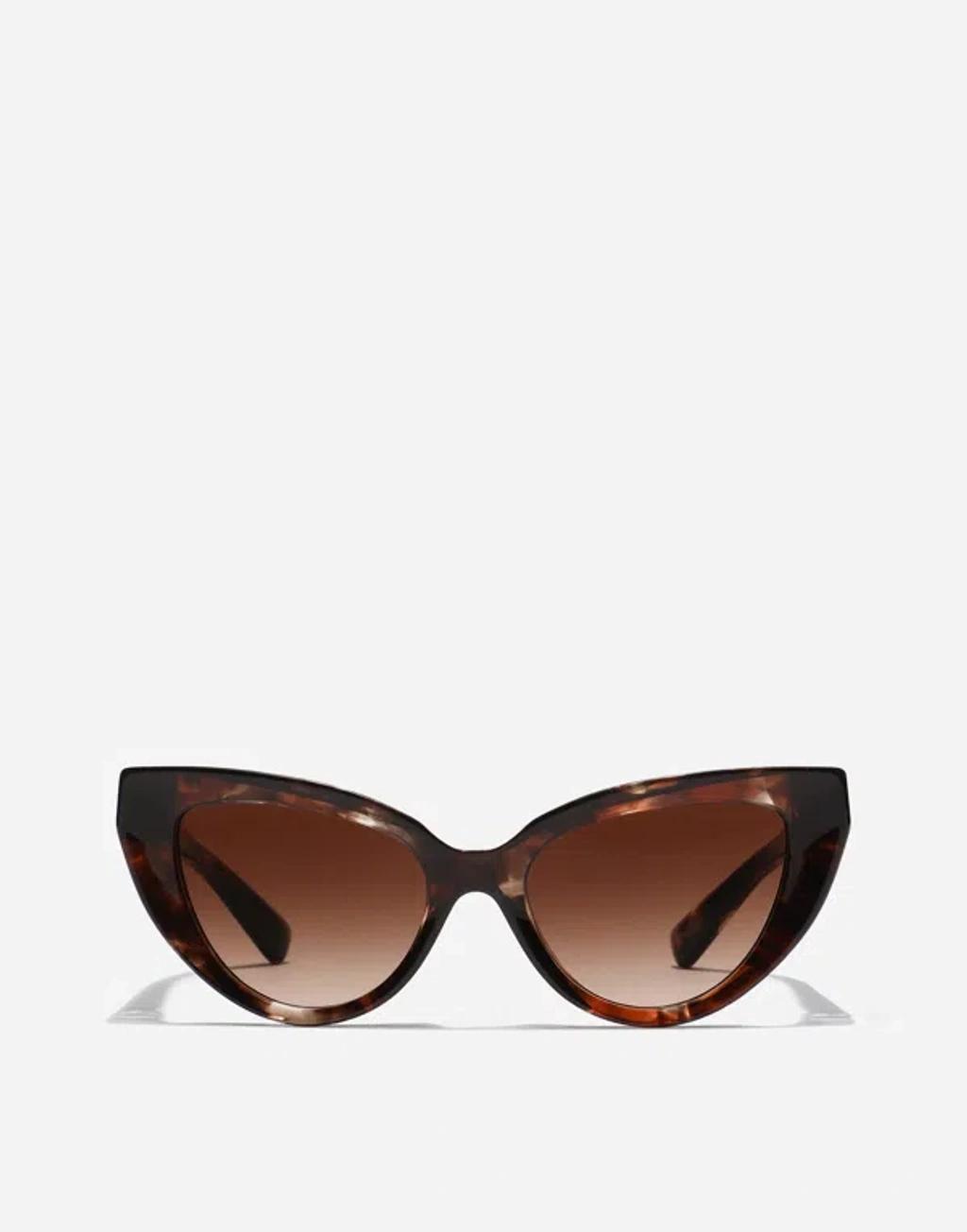 DOLCE & GABBANA Dg Hinge Sunglasses In Dark Red Havana Product Image