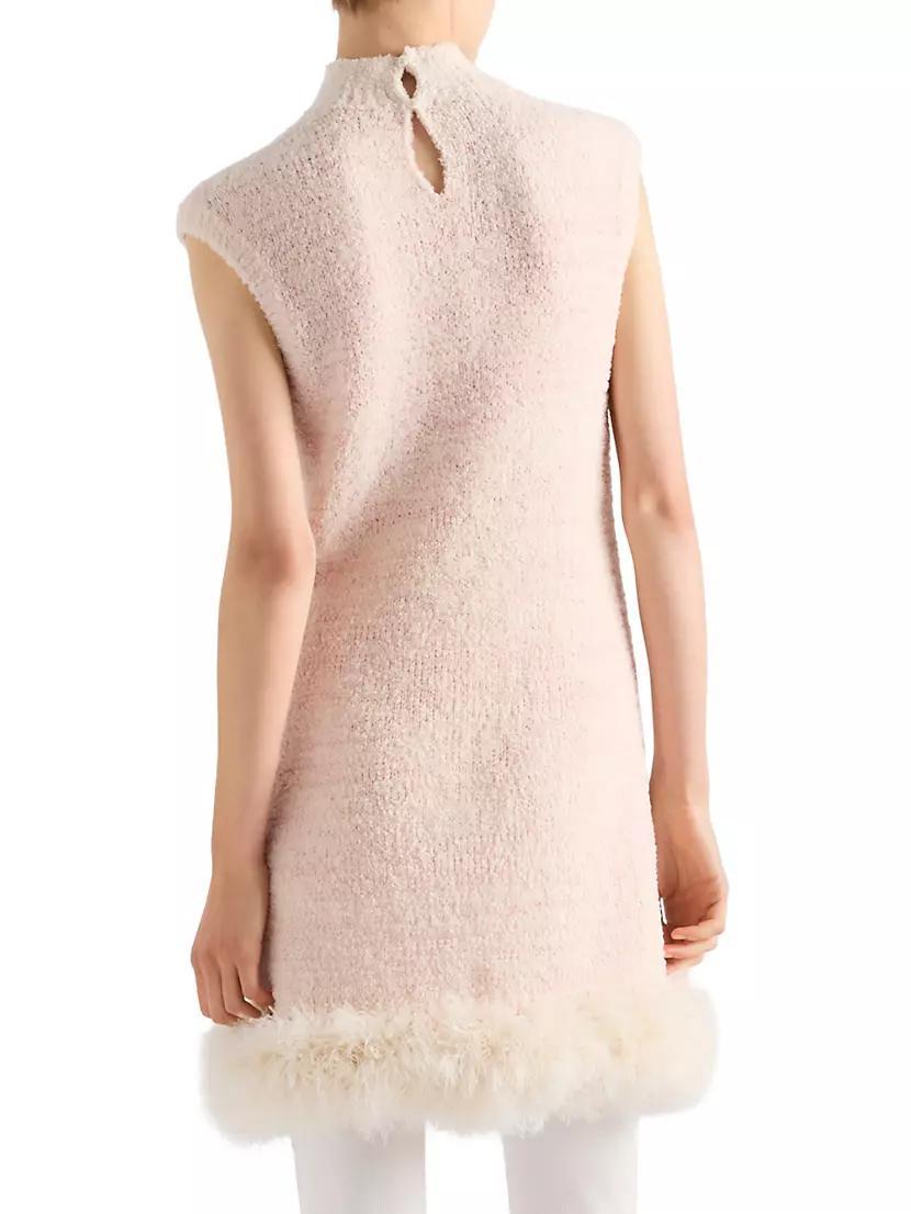 Cotton Mini Dress with Feathers Product Image