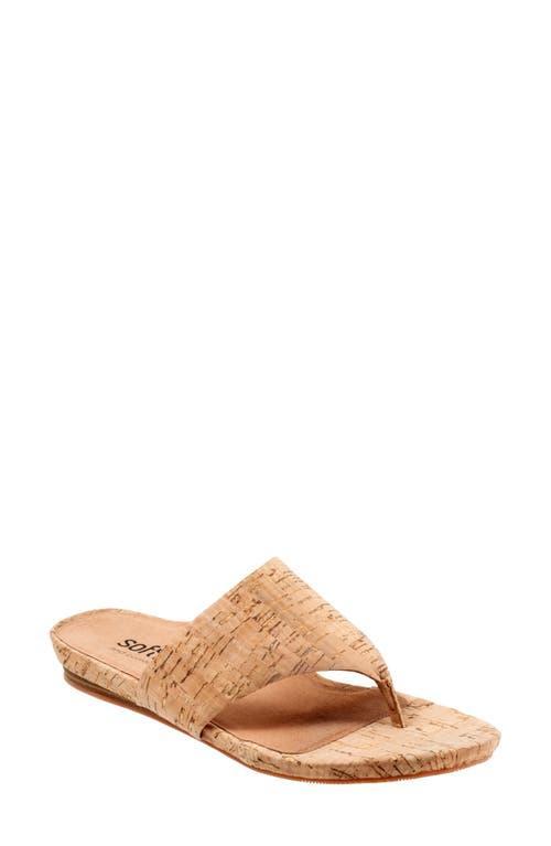 SoftWalk Chandler Leather Thong Sandals Product Image