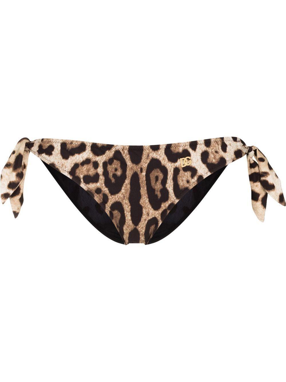 DOLCE & GABBANA Leopard-print Bikini Bottoms In Black Product Image