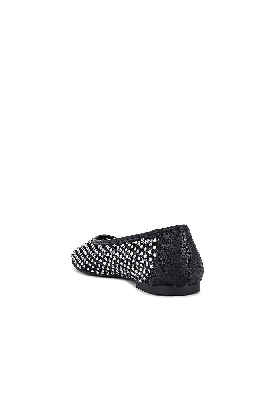 Ballet Flat Auden Steve Madden Product Image