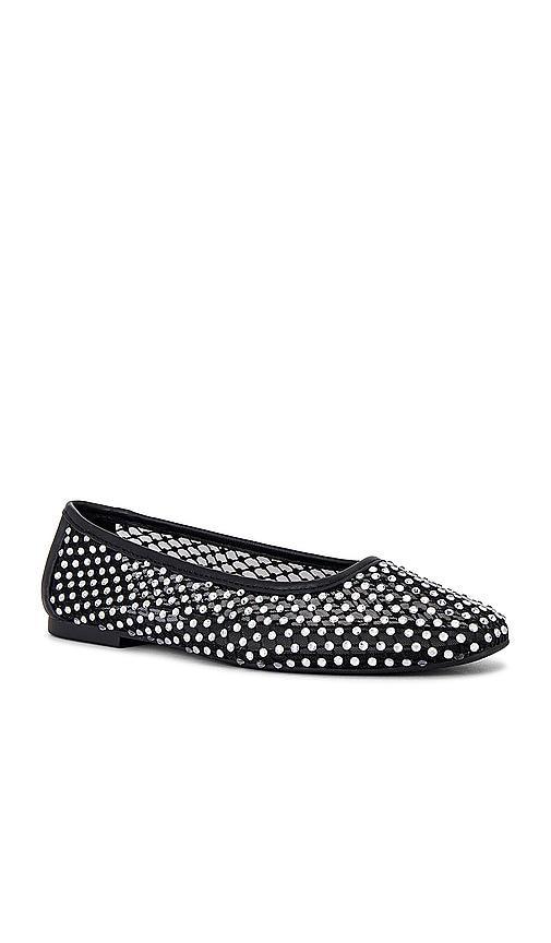 Ballet Flat Auden Steve Madden Product Image