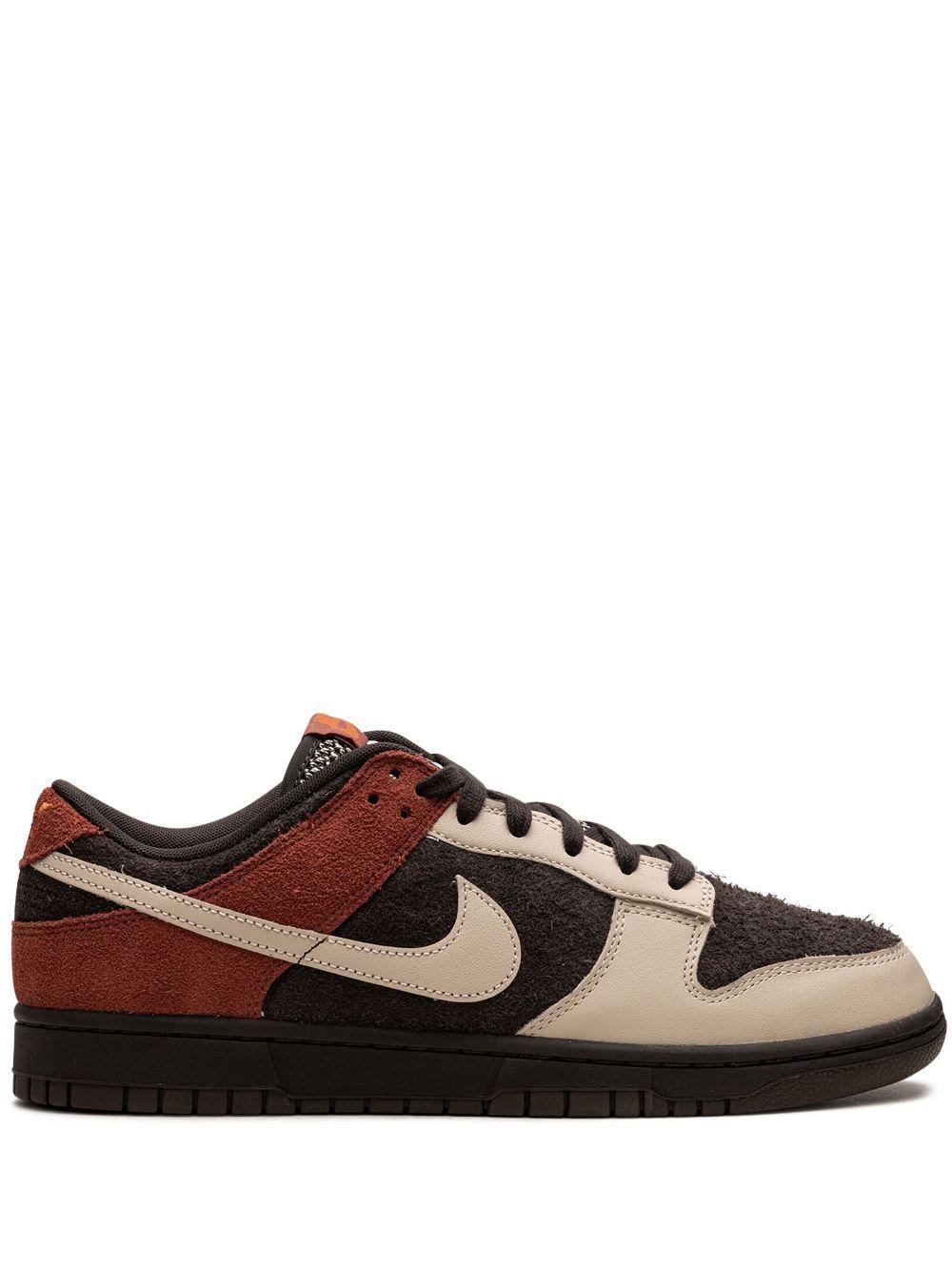 Dunk Low "red Panda" Sneakers In Brown Product Image