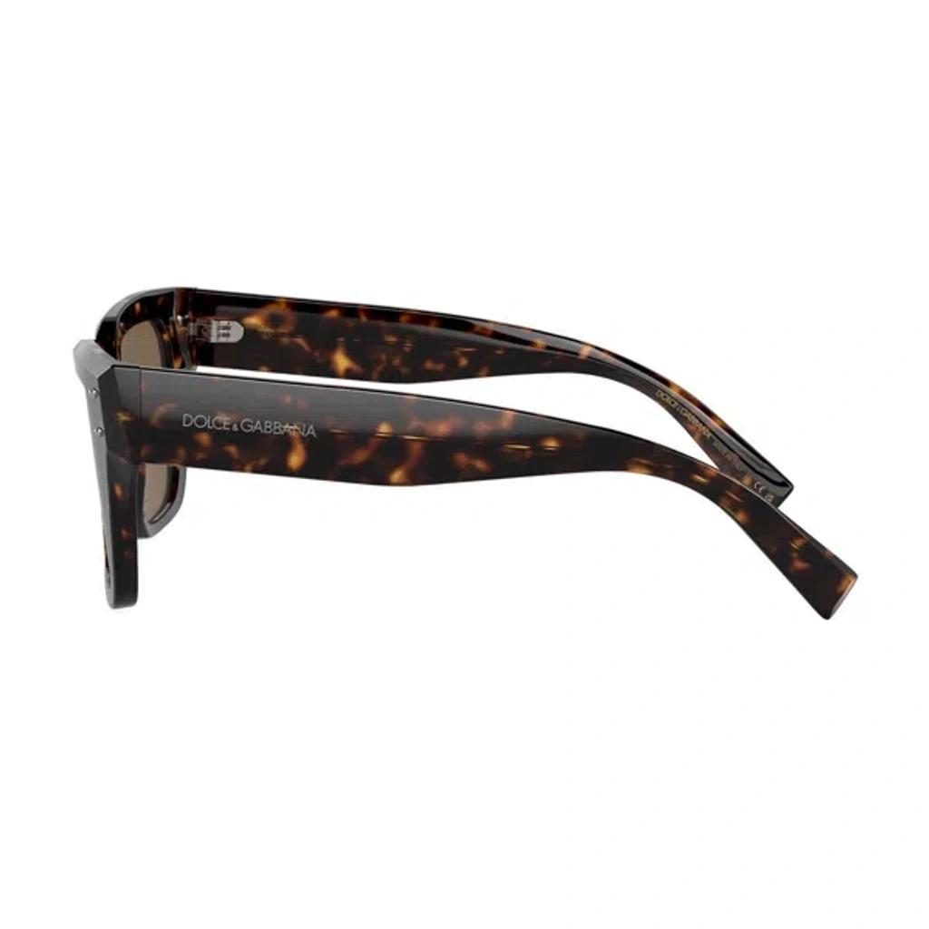 DOLCE & GABBANA Eyewear In Brown Product Image