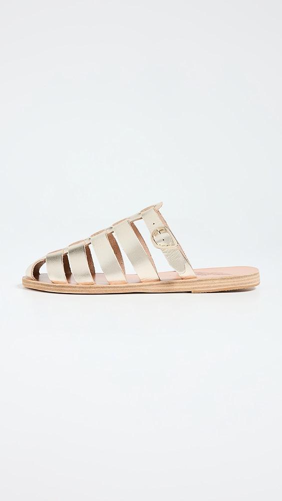 Ancient Greek Sandals Cosmia Fisherman Sandals | Shopbop Product Image