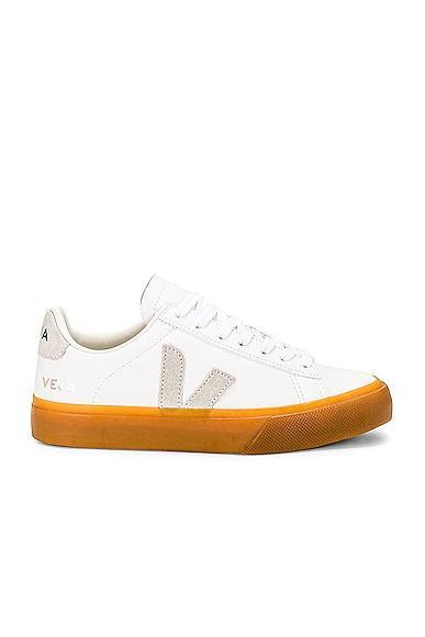 Campo Sneaker Veja Product Image