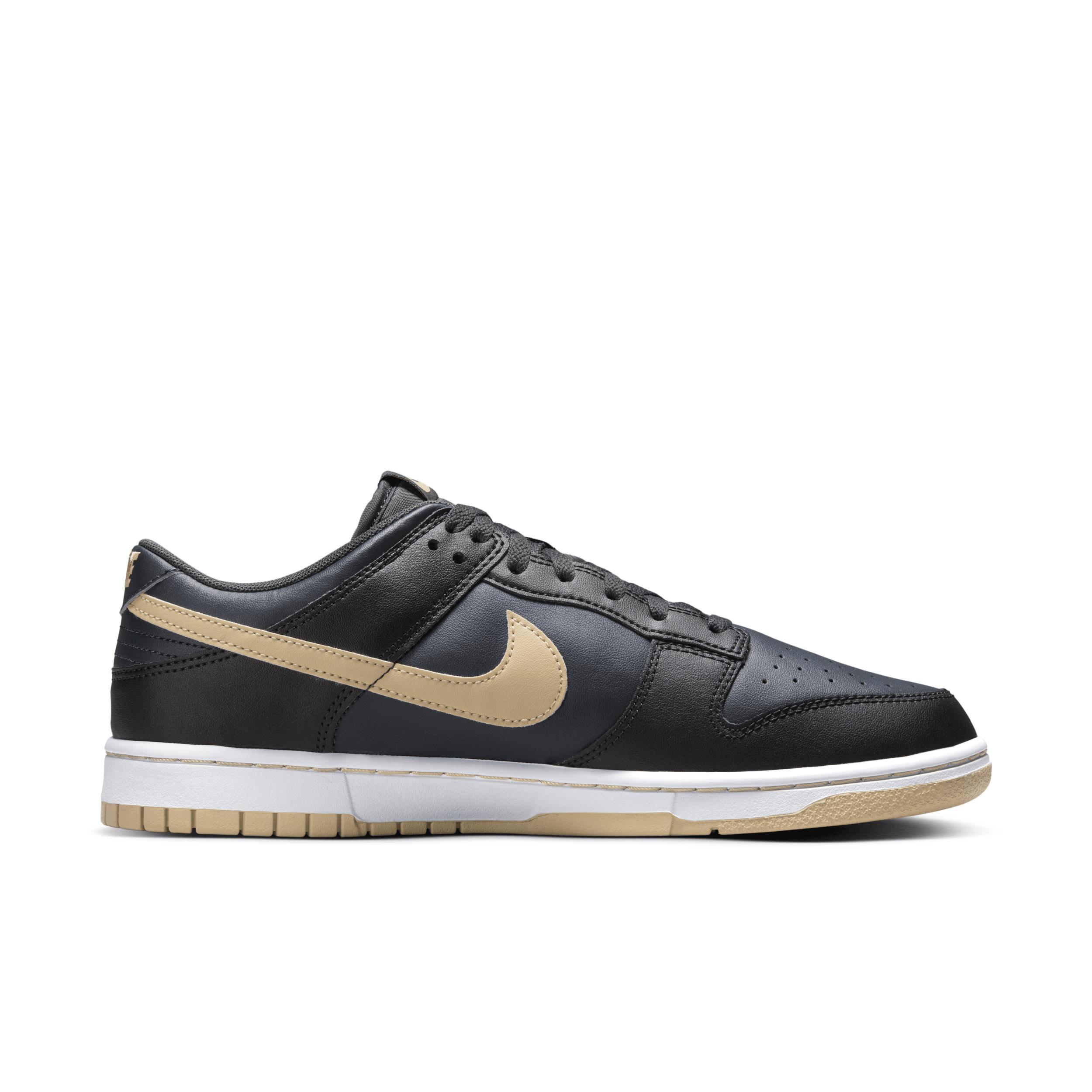 Nike Dunk Low Retro Men's Shoes Product Image