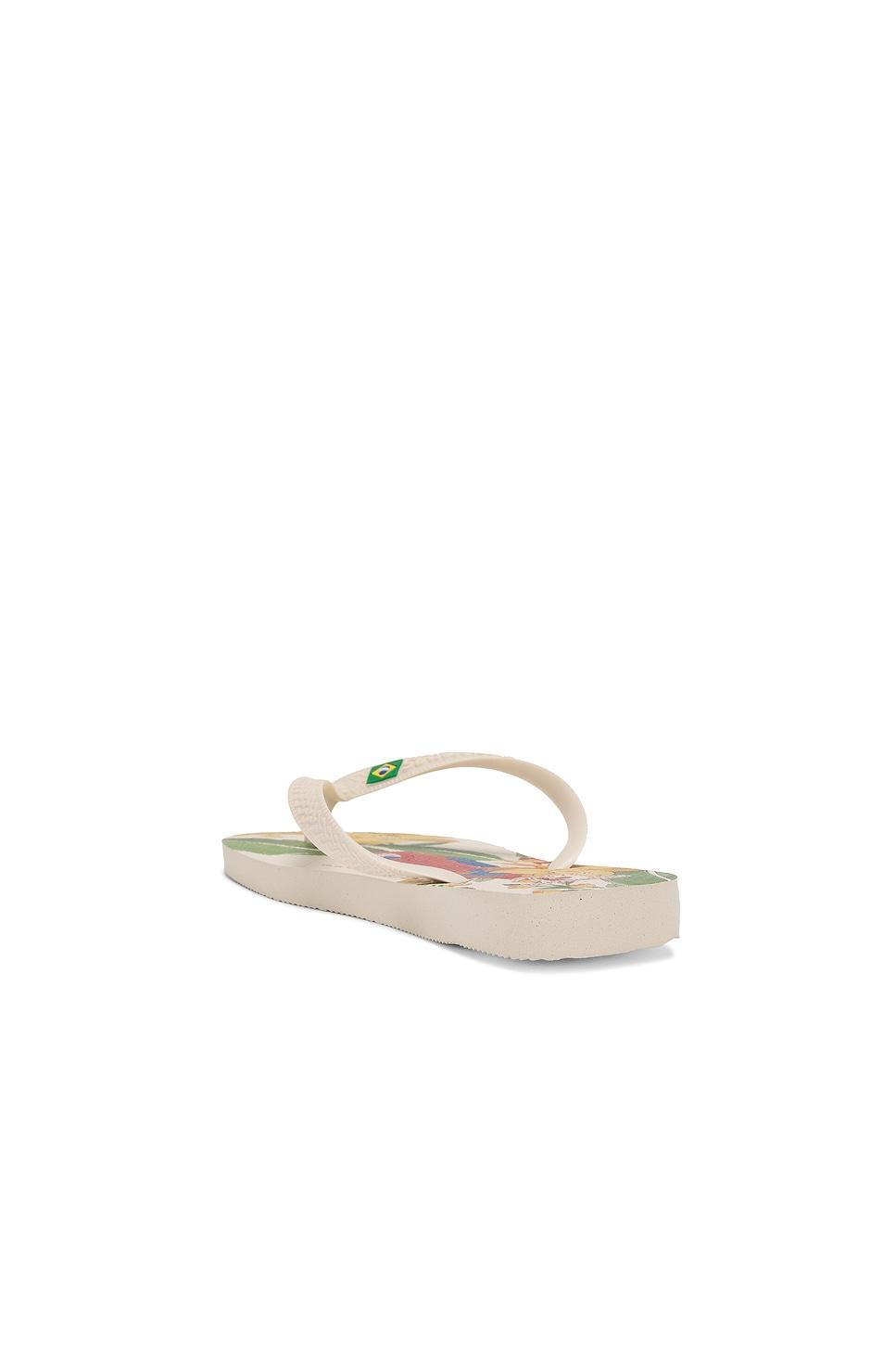 Farm Rio Parrot and Floral Sandal Havaianas Product Image