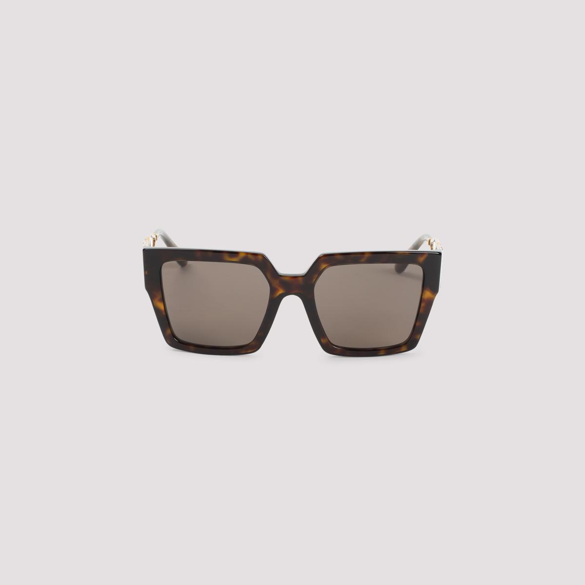 DOLCE & GABBANA Glasses In Beige Product Image