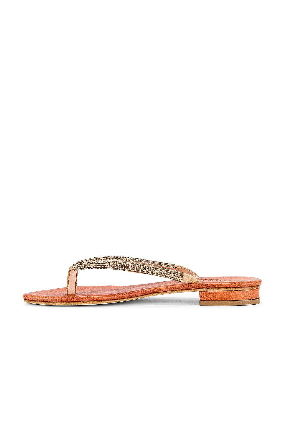 Pogliano Sandal CoRNETTI Product Image