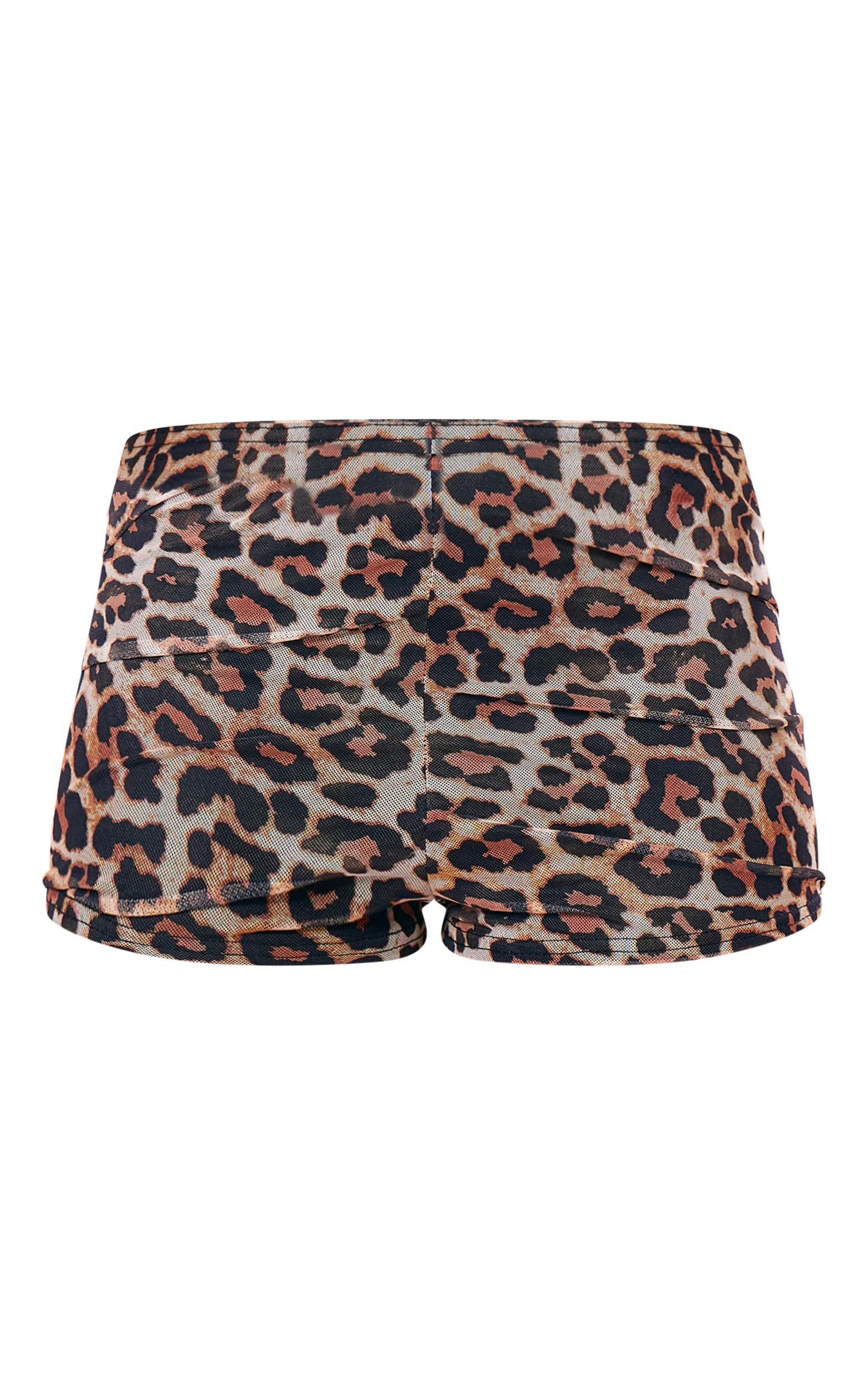 Leopard Printed Lined Mesh Hot Pants Product Image