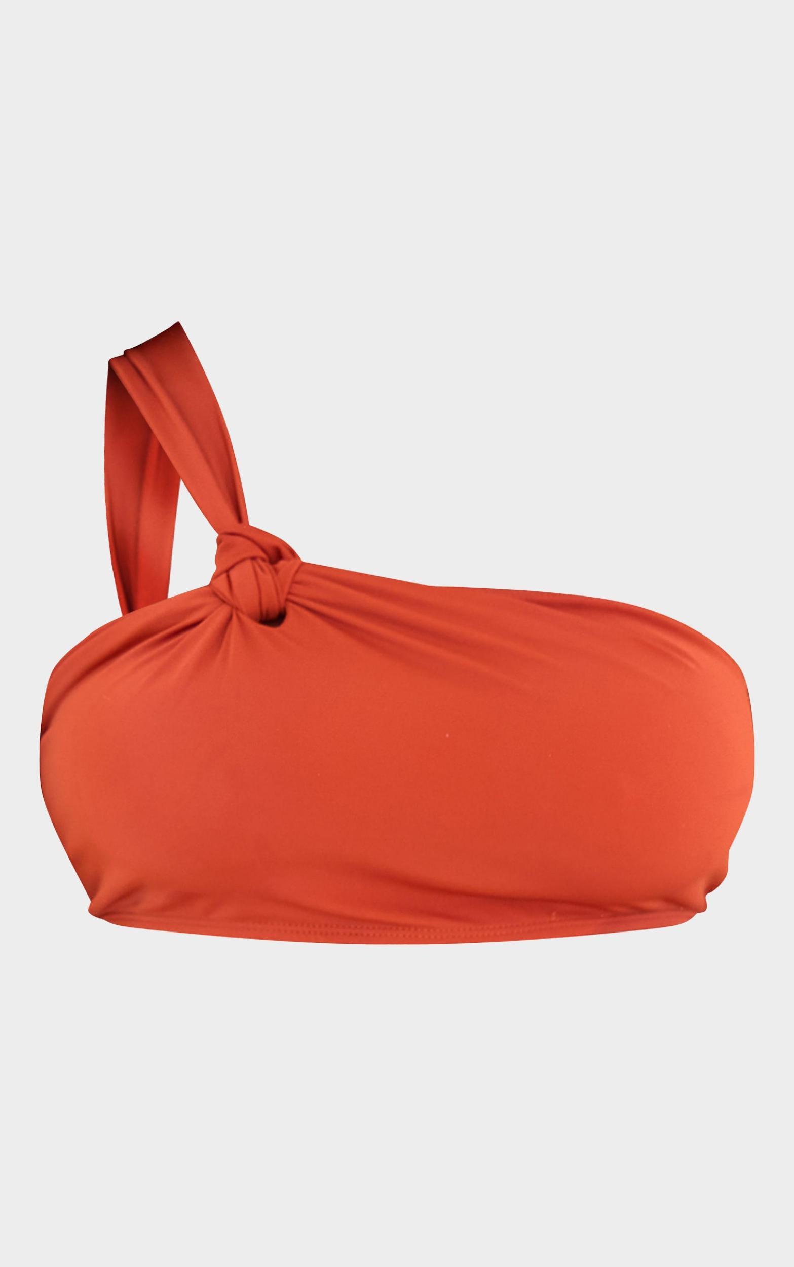Plus Rust Knot Detail Asymmetric Bikini Top Product Image