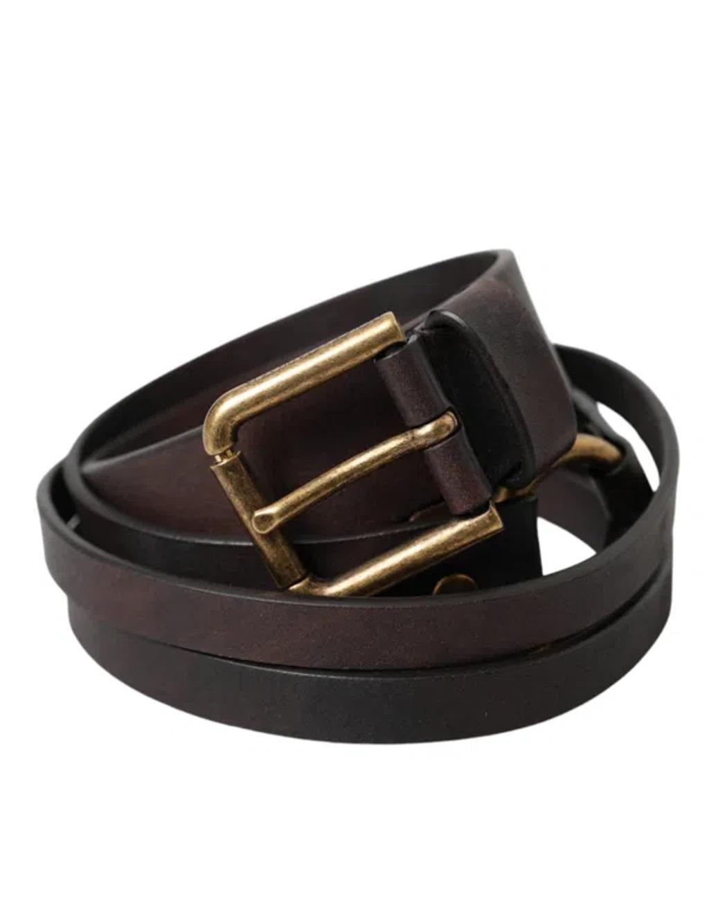 DOLCE & GABBANA Dark Brown Leather Gold Metal Buckle Women Belt Product Image