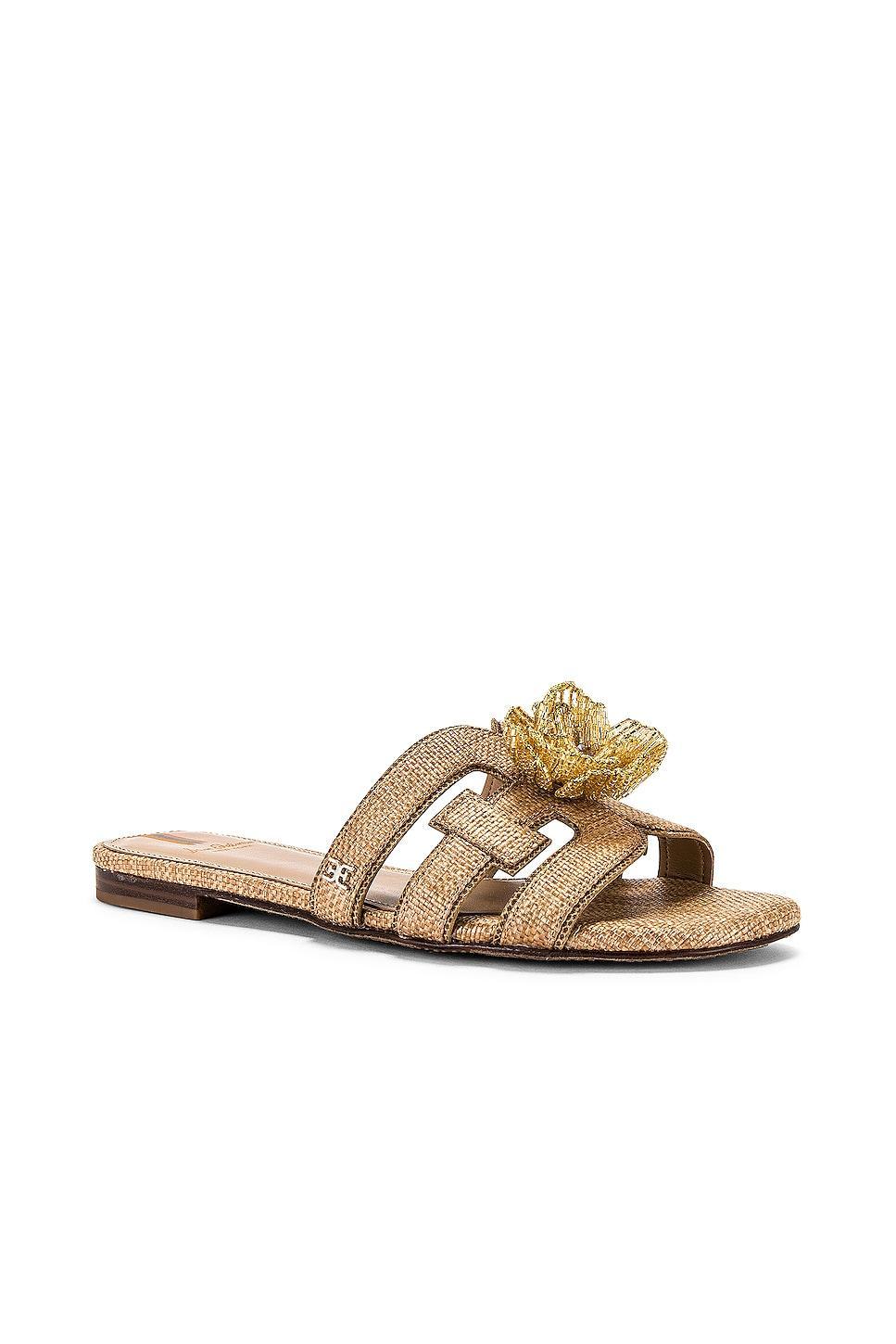 Bay Flora Sandal Sam Edelman Product Image