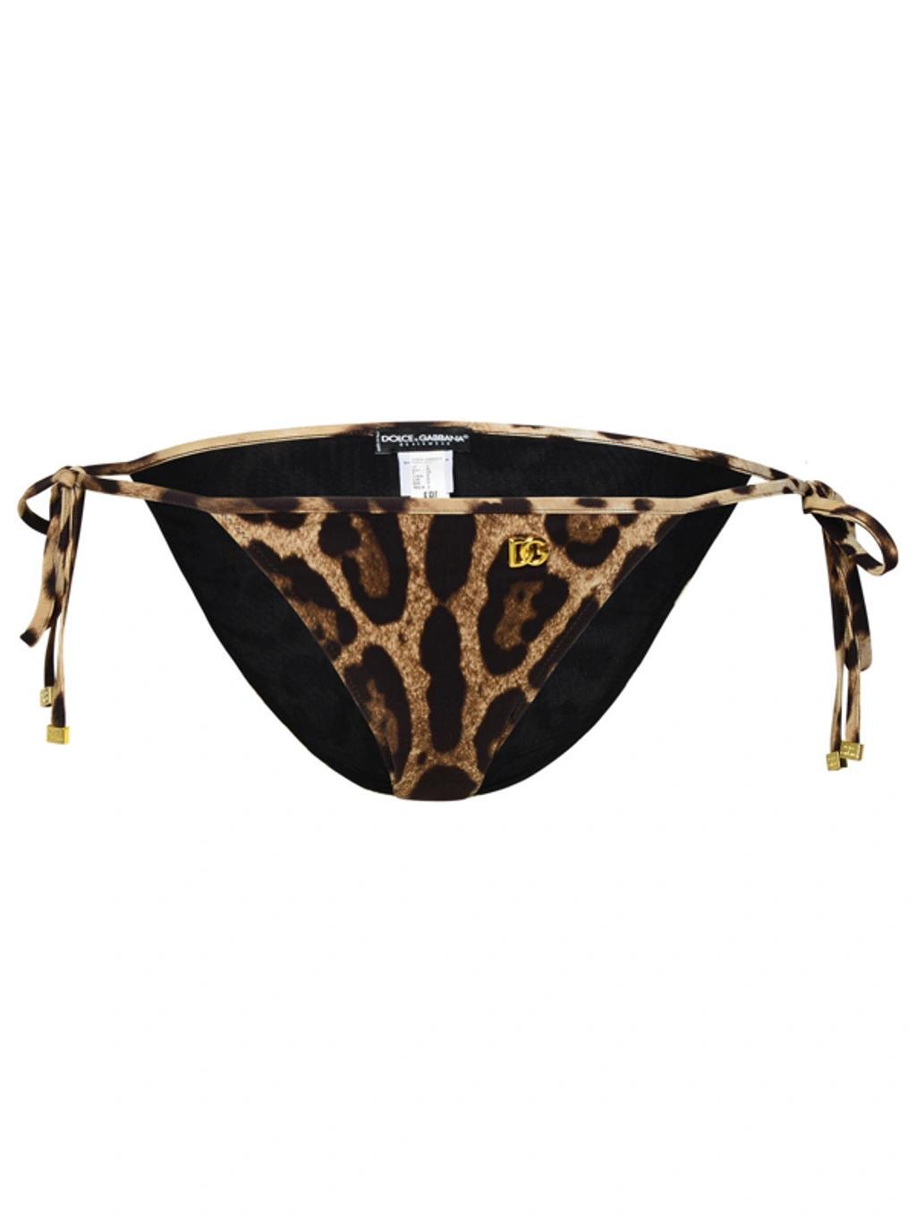 DOLCE & GABBANA Leopard-print Bikini Bottoms In Black Product Image