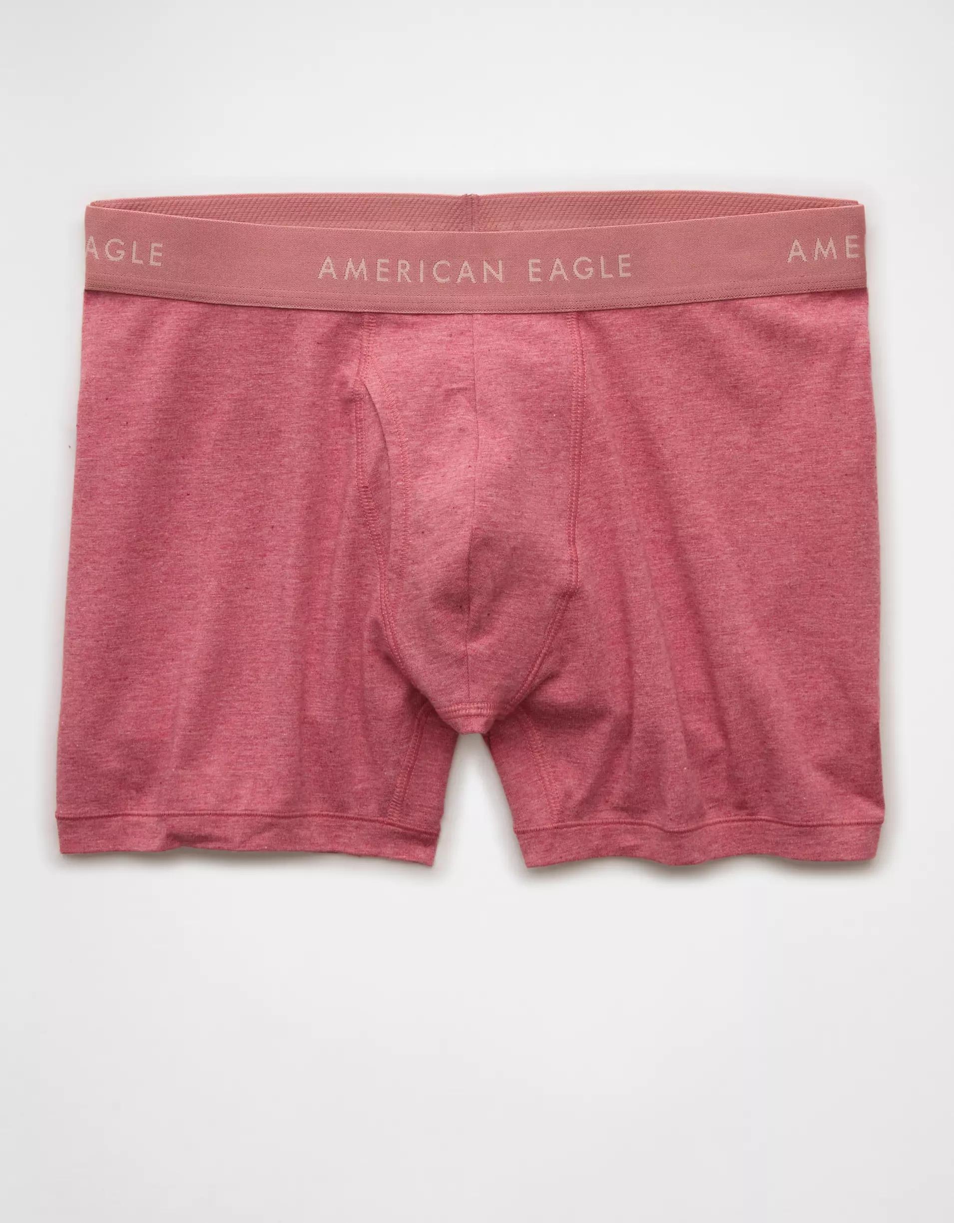 AEO Men's 4.5" Classic Boxer Brief Product Image
