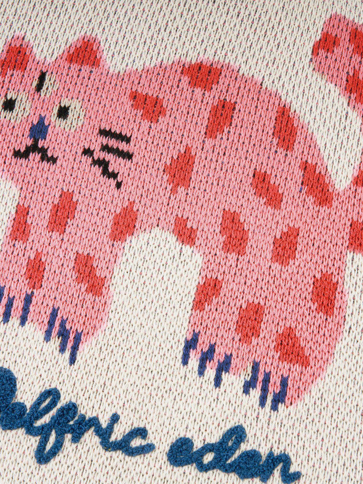 Aelfric Eden Kitten Crop Sweater @iggybellyy Product Image