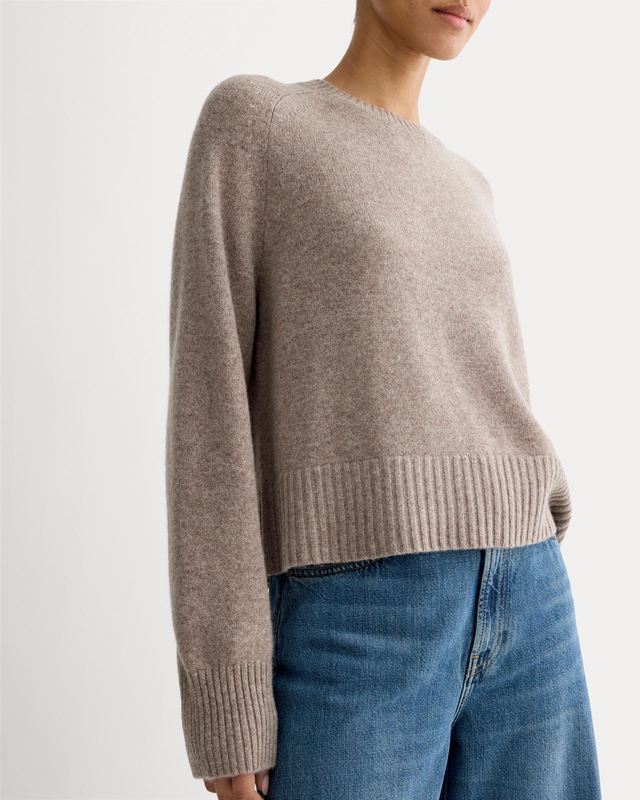 Womens Boxy Crew in Cashmere Sweater by Everlane Product Image