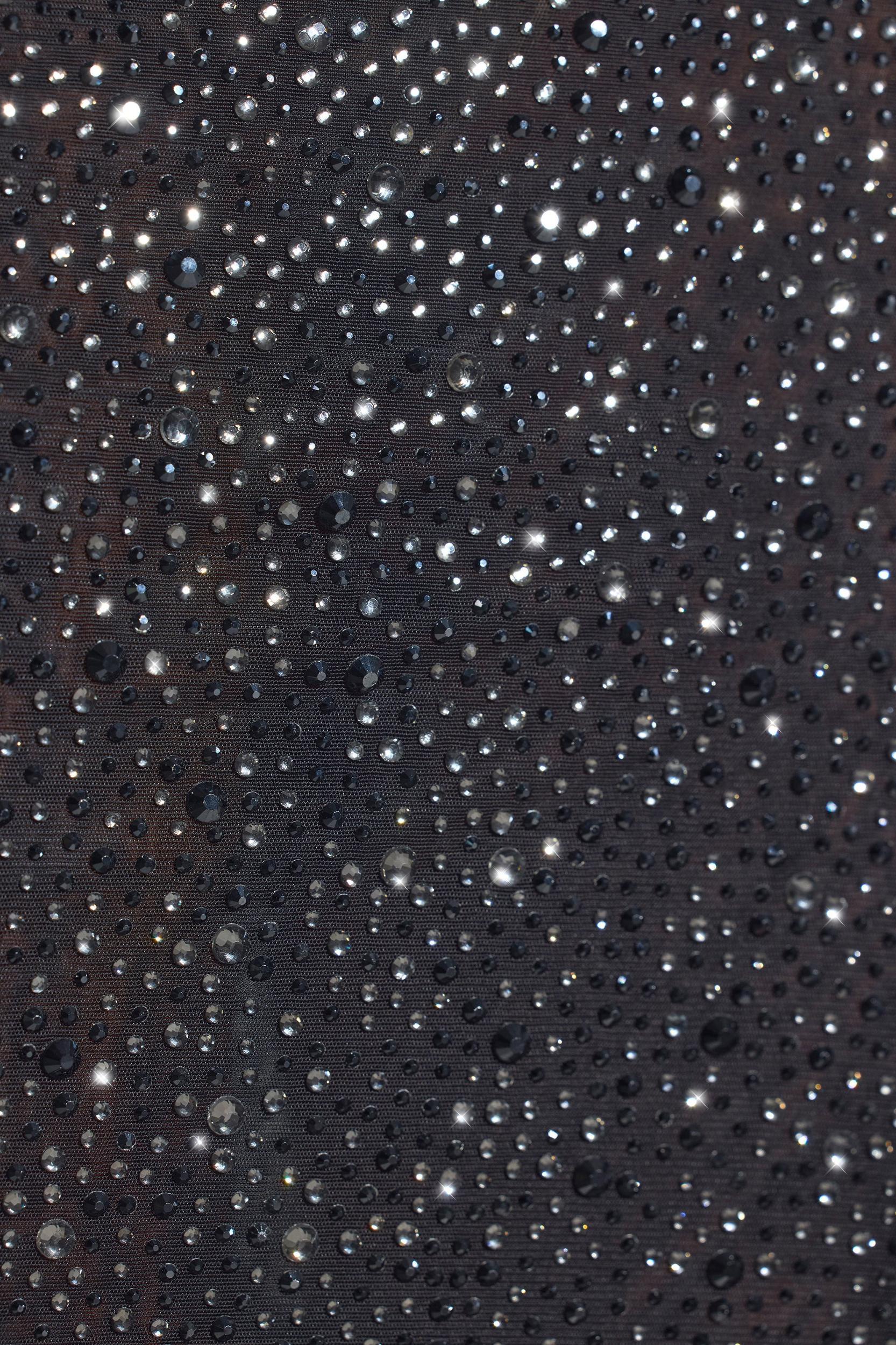 Embellished Long-Sleeve Crop Top in Black Product Image