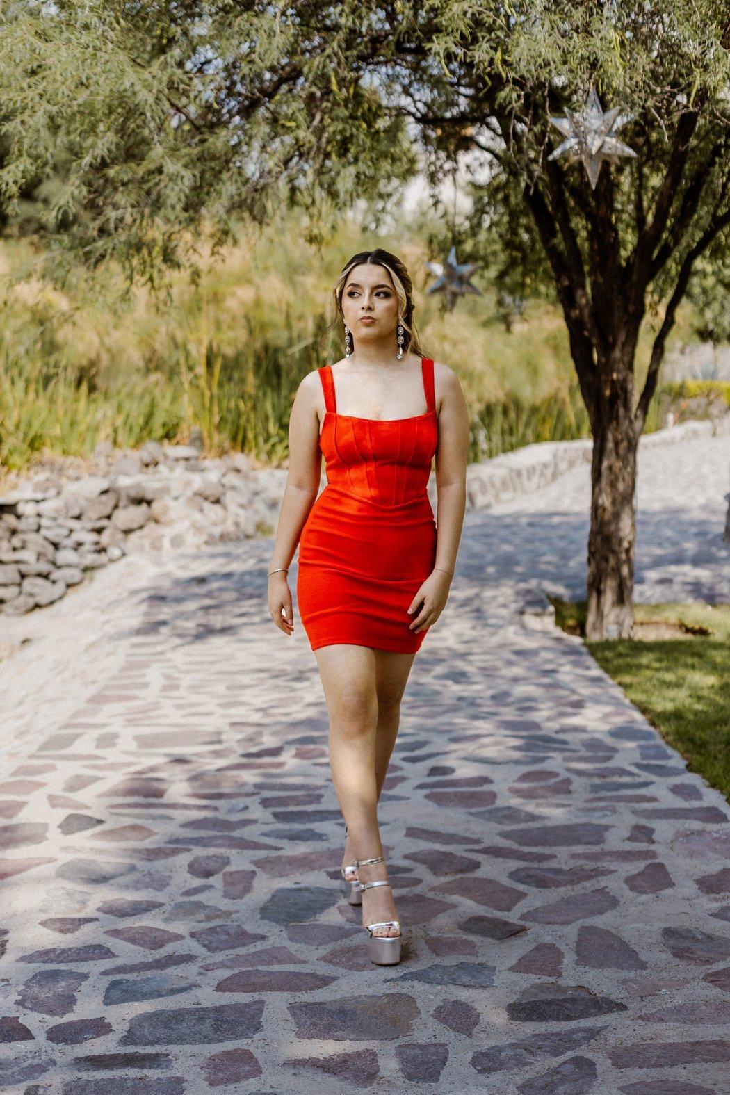 Mini Red Dress Product Image