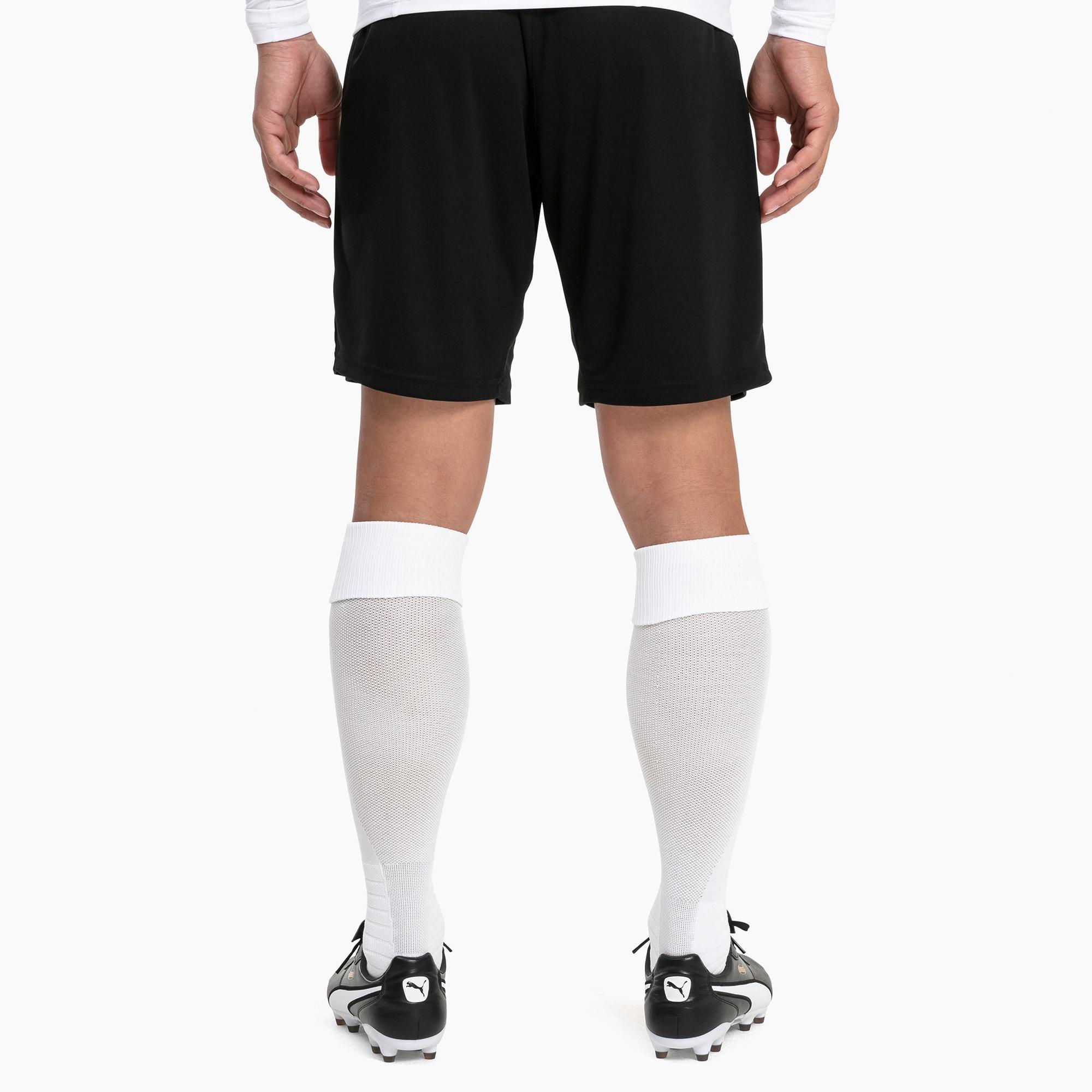 Liga Soccer Socks [1 Pair] Product Image