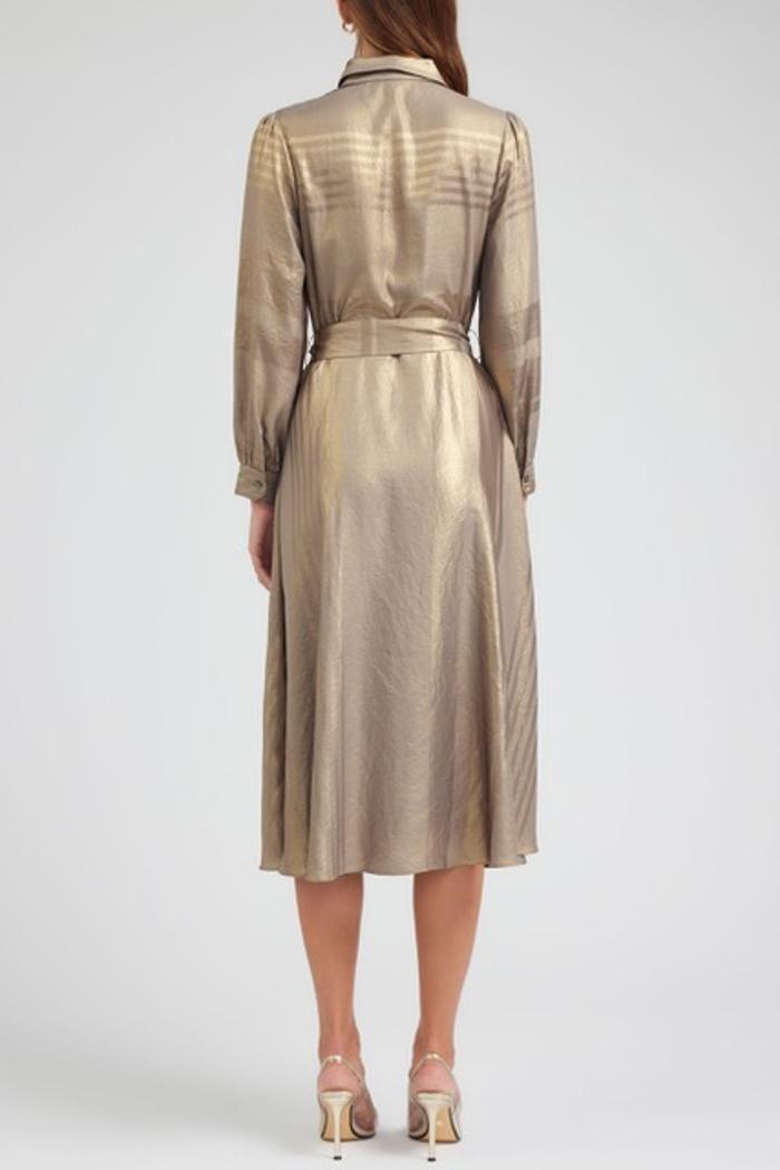 Maxi Long Sleeve Dress Product Image