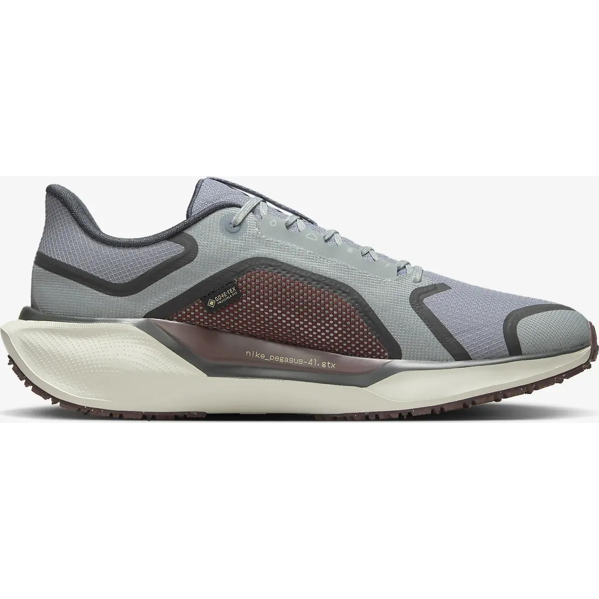 Men's | Nike Pegasus 41 GTX Product Image