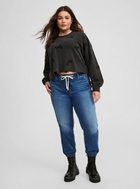 Crew Embroidered Crop Pullover Product Image