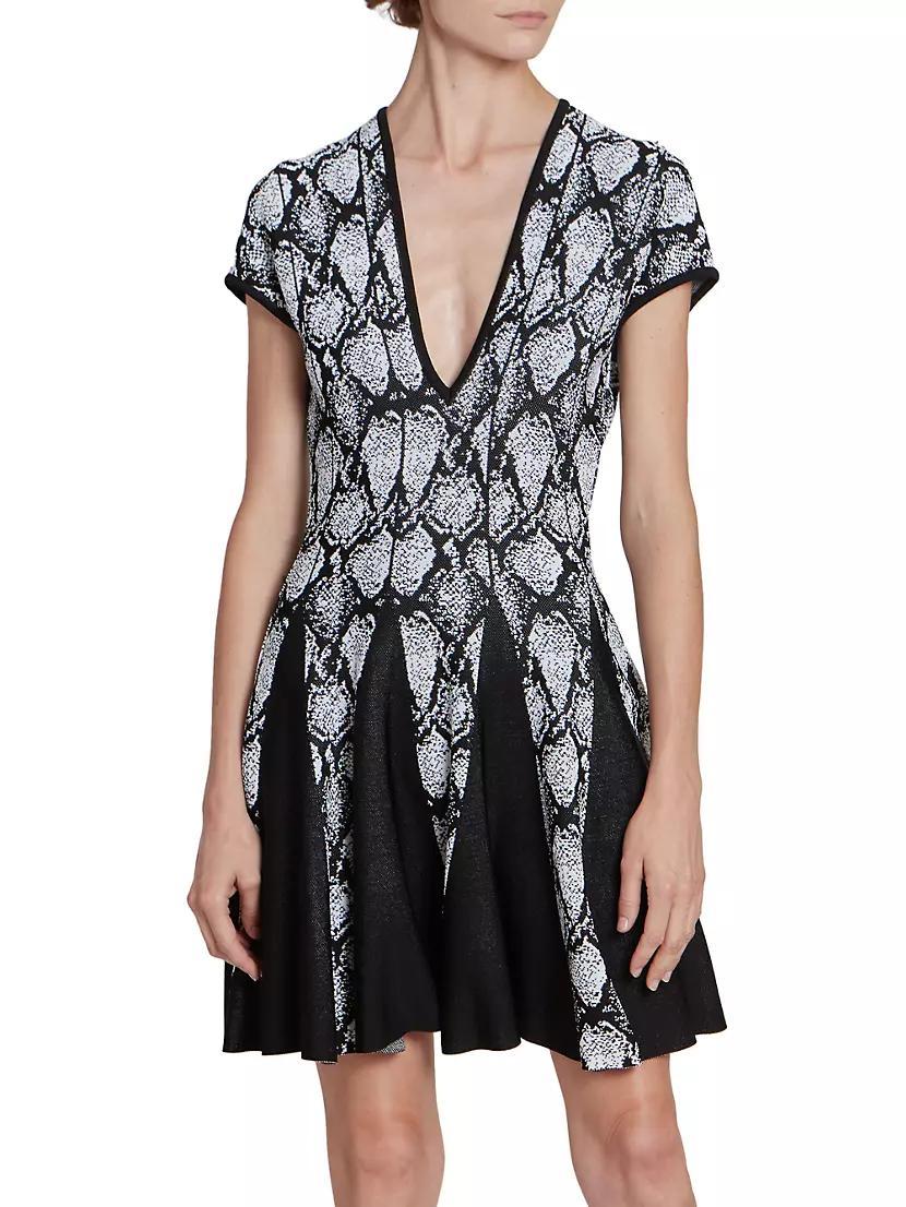 Python Print Skater Dress Product Image