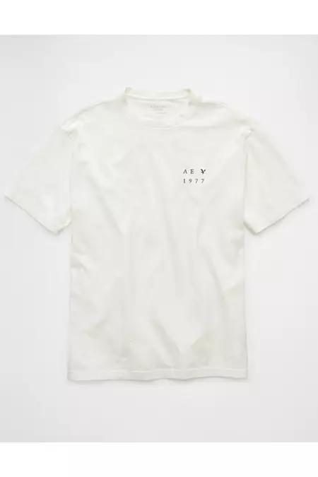 AE Logo Graphic T-Shirt Men's Product Image