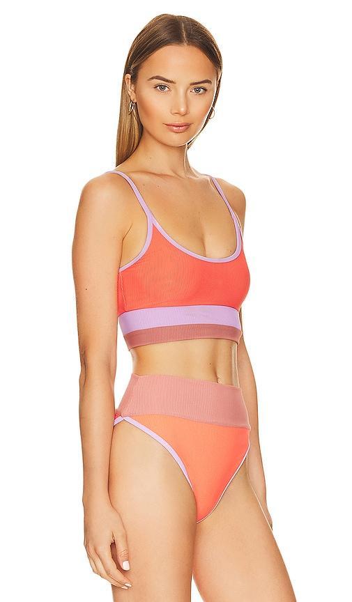 Eva Bikini Top BEACH RIOT Product Image