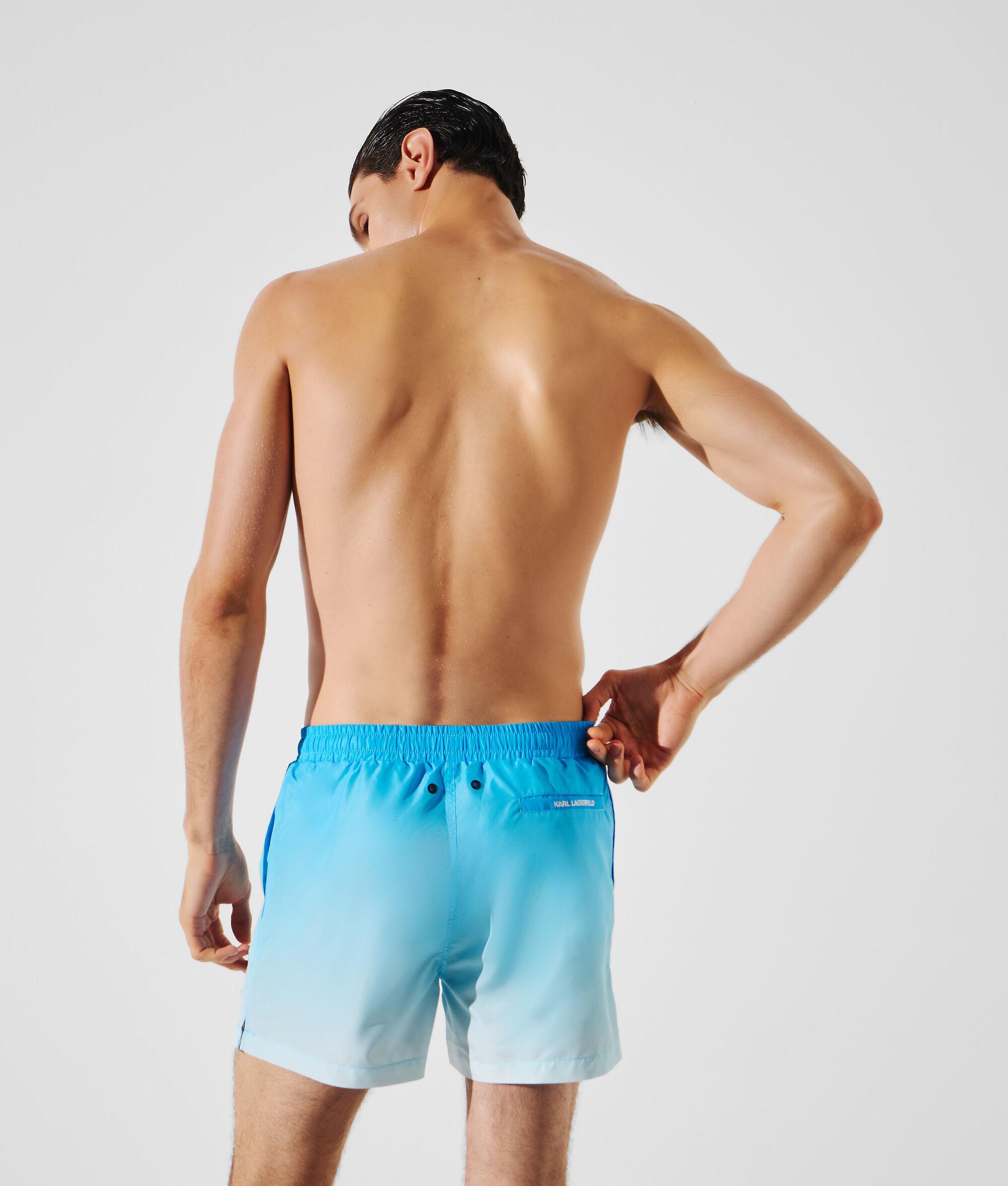 IKON OMBRÉ BOARDSHORTS Product Image