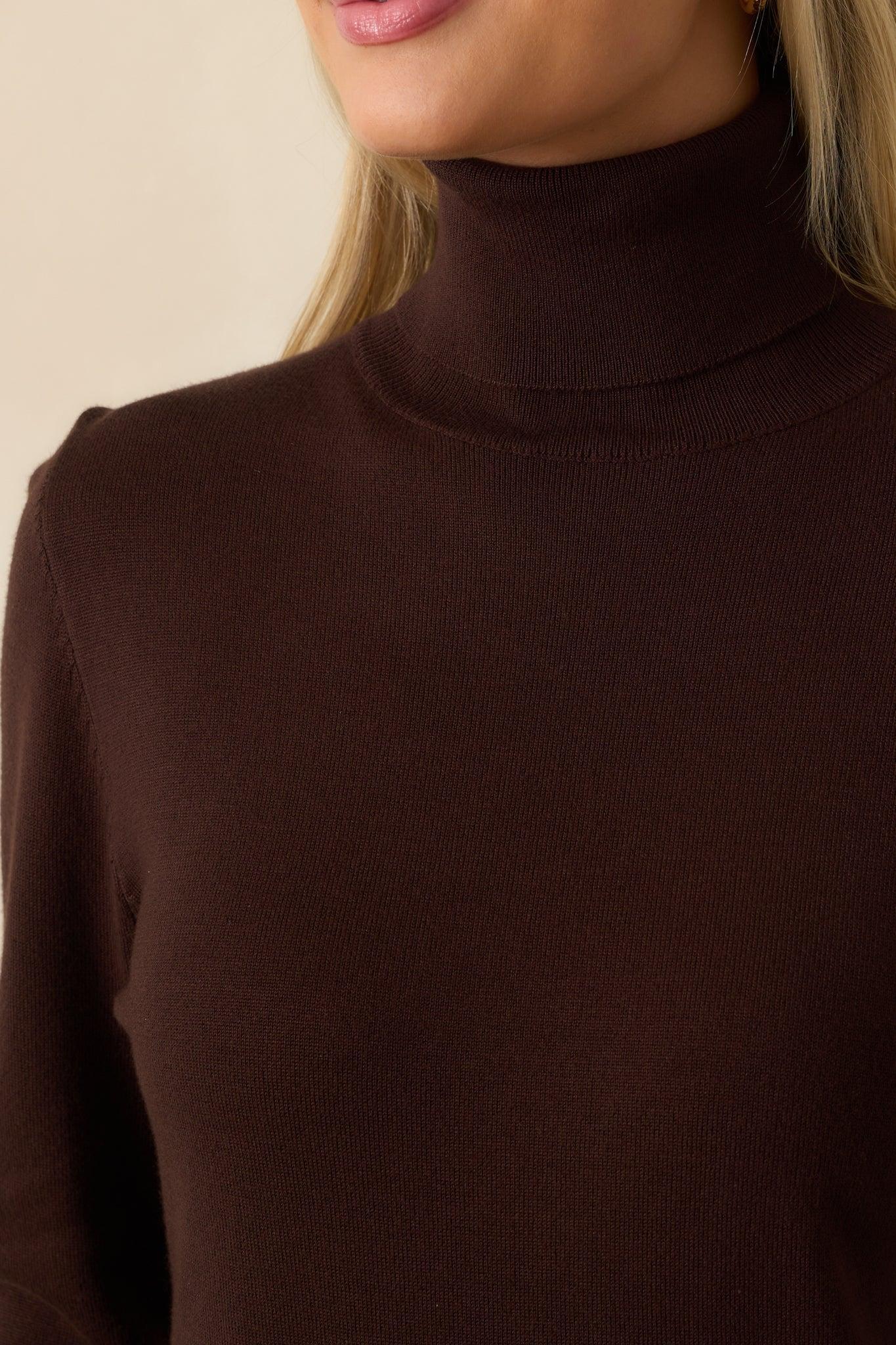 Comfortable Charm Dark Brown Turtleneck Sweater Product Image