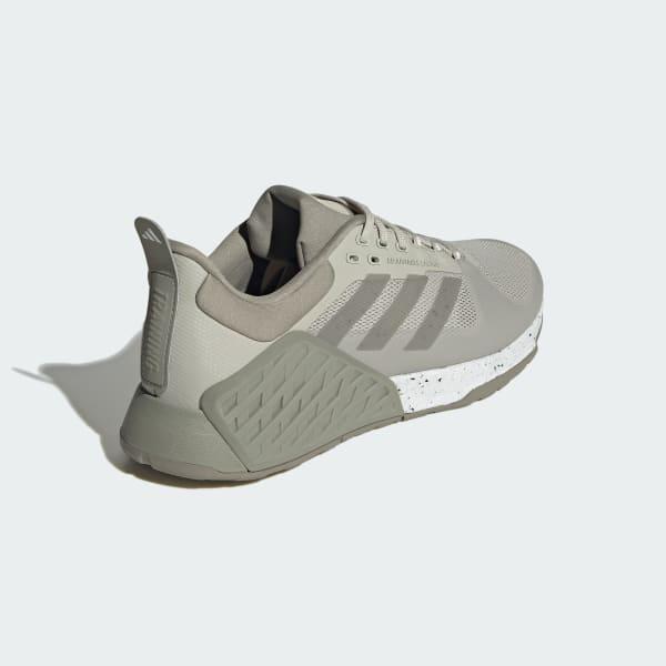 Dropset 2.0 Earth Training Shoes Product Image