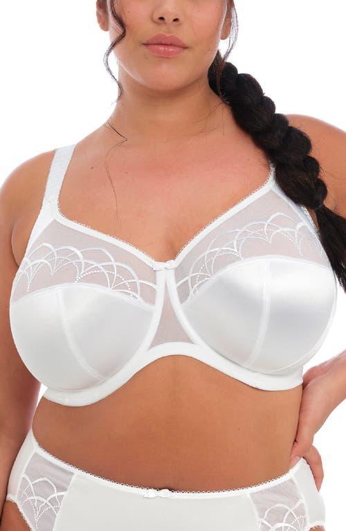 Cate Side Support Bra Product Image