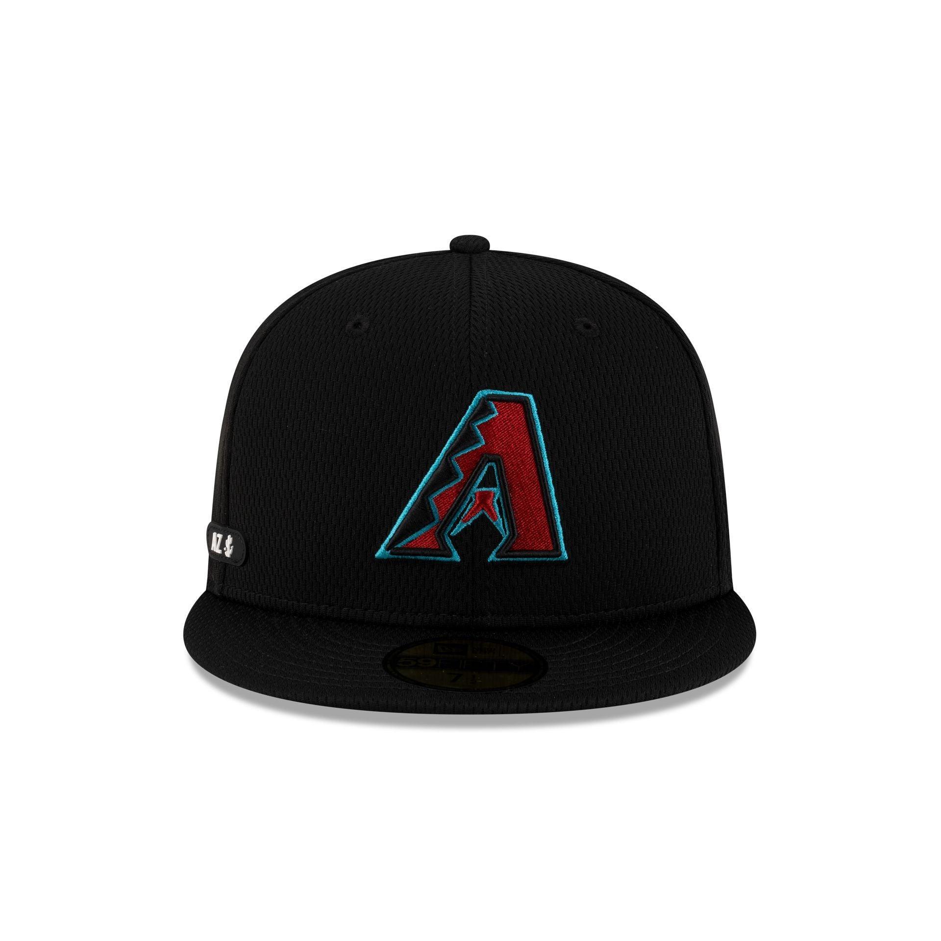 Delmarva Shorebirds Theme Night 59FIFTY Fitted Hat Male Product Image