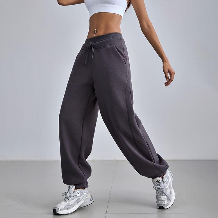 Drawstring Waist Plain Fleece-Lined Straight Leg Sweatpants Product Image