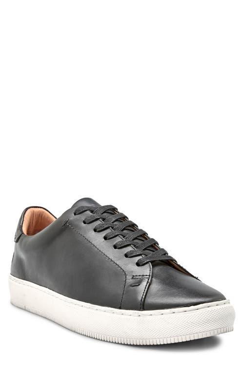 Frye Mens Astor Low Lace Sneakers Product Image