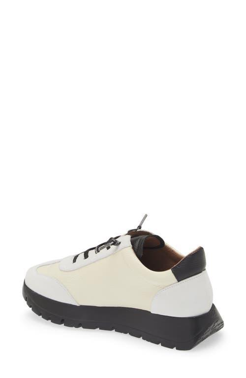 WONDERS Fashion Slip-on Sneaker In White/off White/black Combo Product Image