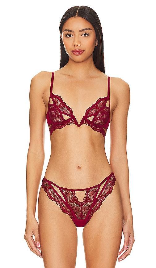 Thistle and Spire Kane Cutout V Wire Bra Black 36C Product Image