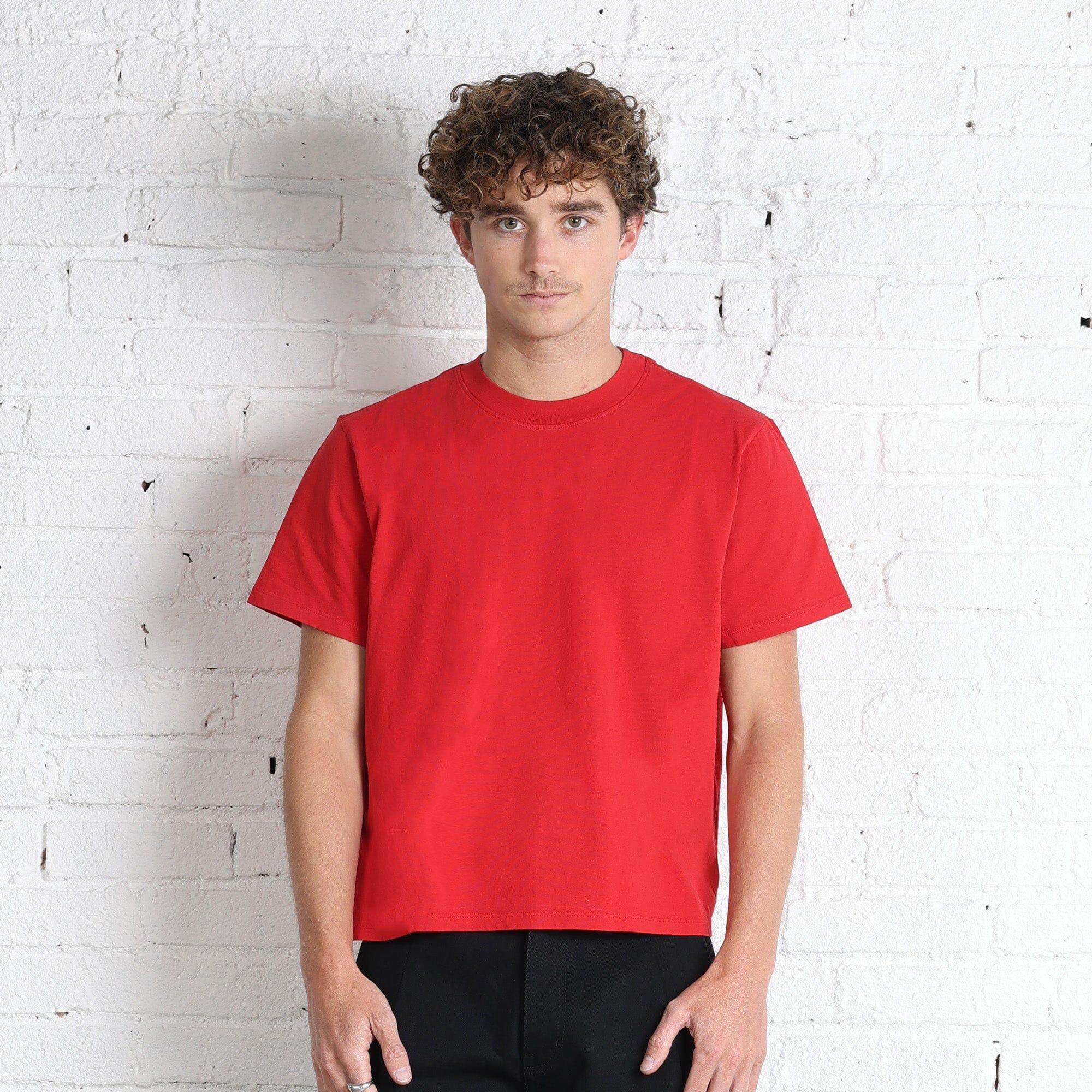 Silverlake Crop Tee II Product Image