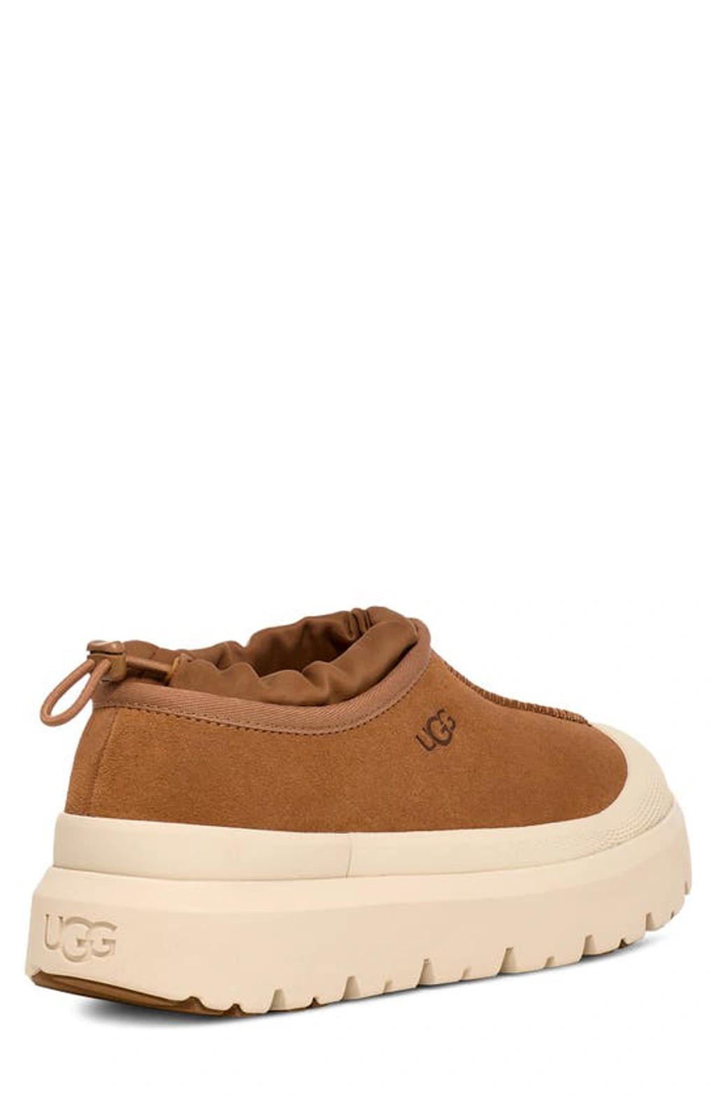 UGG Tasman Waterproof Slip-on Shoe In Whitecap/chesnut Product Image